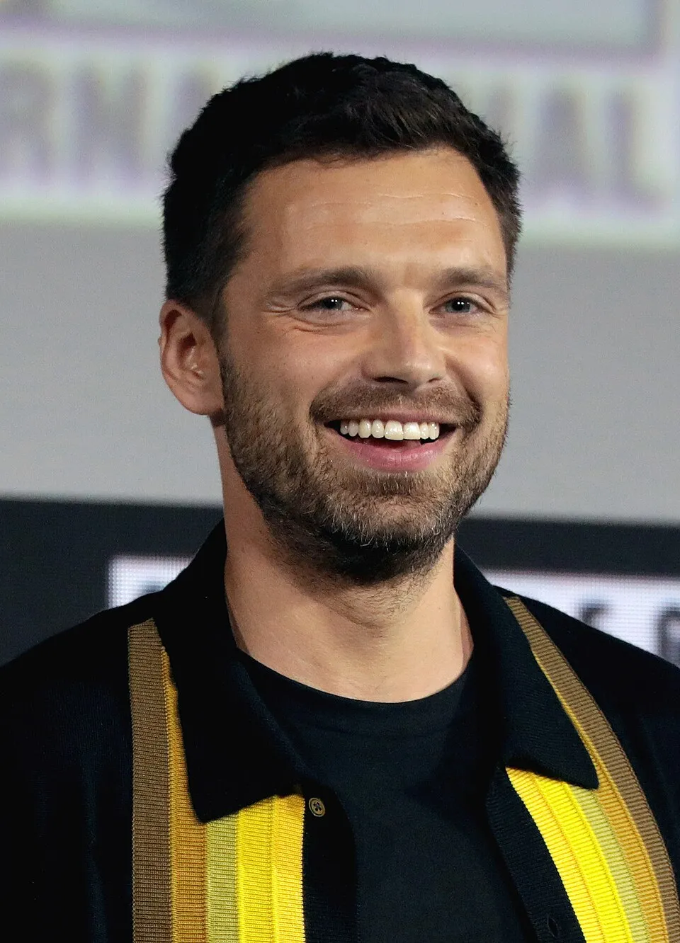 Sebastian Stan — previous Wikipedia photograph